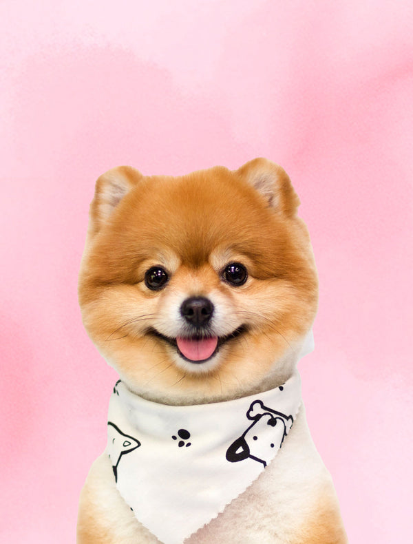 Dog Grooming