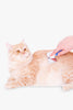 Full Grooming For Cats