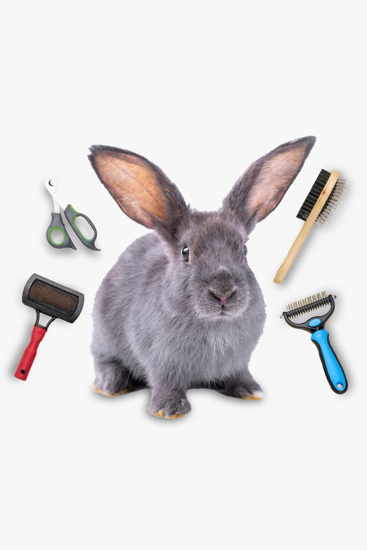 Full Grooming For Rabbit