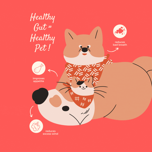 Good Poop Synbiotics