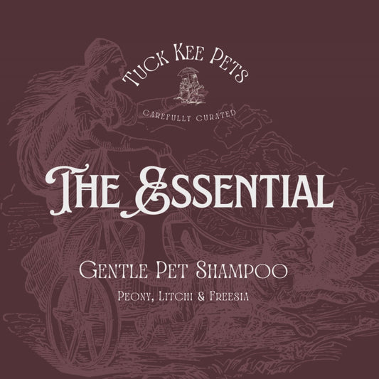 Essential Shampoo